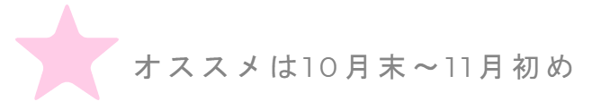 婚約指輪はブライダルフェアのある10月末 12月の時期に買うのがオススメ 結婚指輪はいつ買っても良い 婚約指輪の相場ナビ